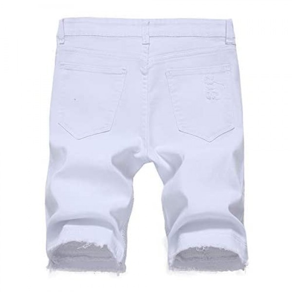 WISHPIG Men's Slim Fit Denim Ripped Shorts Summer Casual Denim Shorts