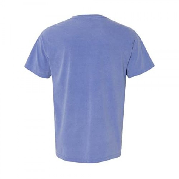 Comfort Colors Men's Adult Short Sleeve Tee Style 1717 (X-Large Periwinkle)