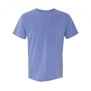 Comfort Colors Men's Adult Short Sleeve Tee  Style 1717 (X-Large  Periwinkle)