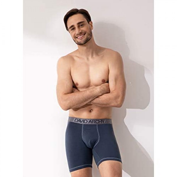 DAVID ARCHY 3 Pack Men's Underwear Ultra Soft Cotton-Modal Blend Stripe Boxer Briefs with Fly