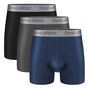 DAVID ARCHY Men's 3 Pack Luxury Micro Modal Underwear Breathable Ultra Soft Comfort Lightweight Boxer Briefs No Fly