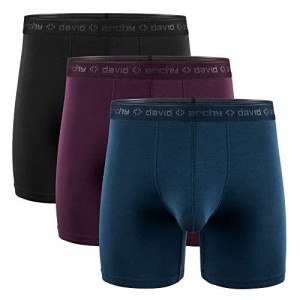 DAVID ARCHY Men's 3 Pack Underwear Micro Modal Separate Pouches Boxer Briefs with Fly